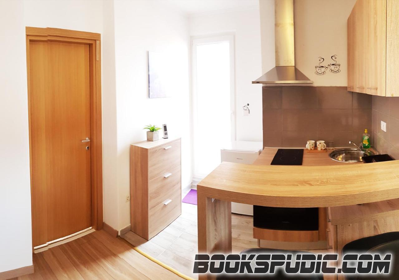 Penthouse Spudic Karlovac公寓 外观 照片