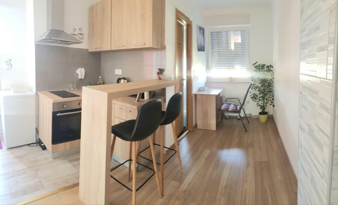 Penthouse Spudic Karlovac公寓 外观 照片